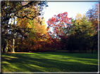 foto Parco Karlsaue in Autunno